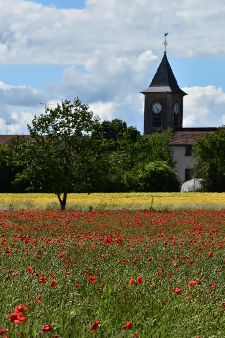 Appartamento Bergerie Francique Lachaussee Esterno foto